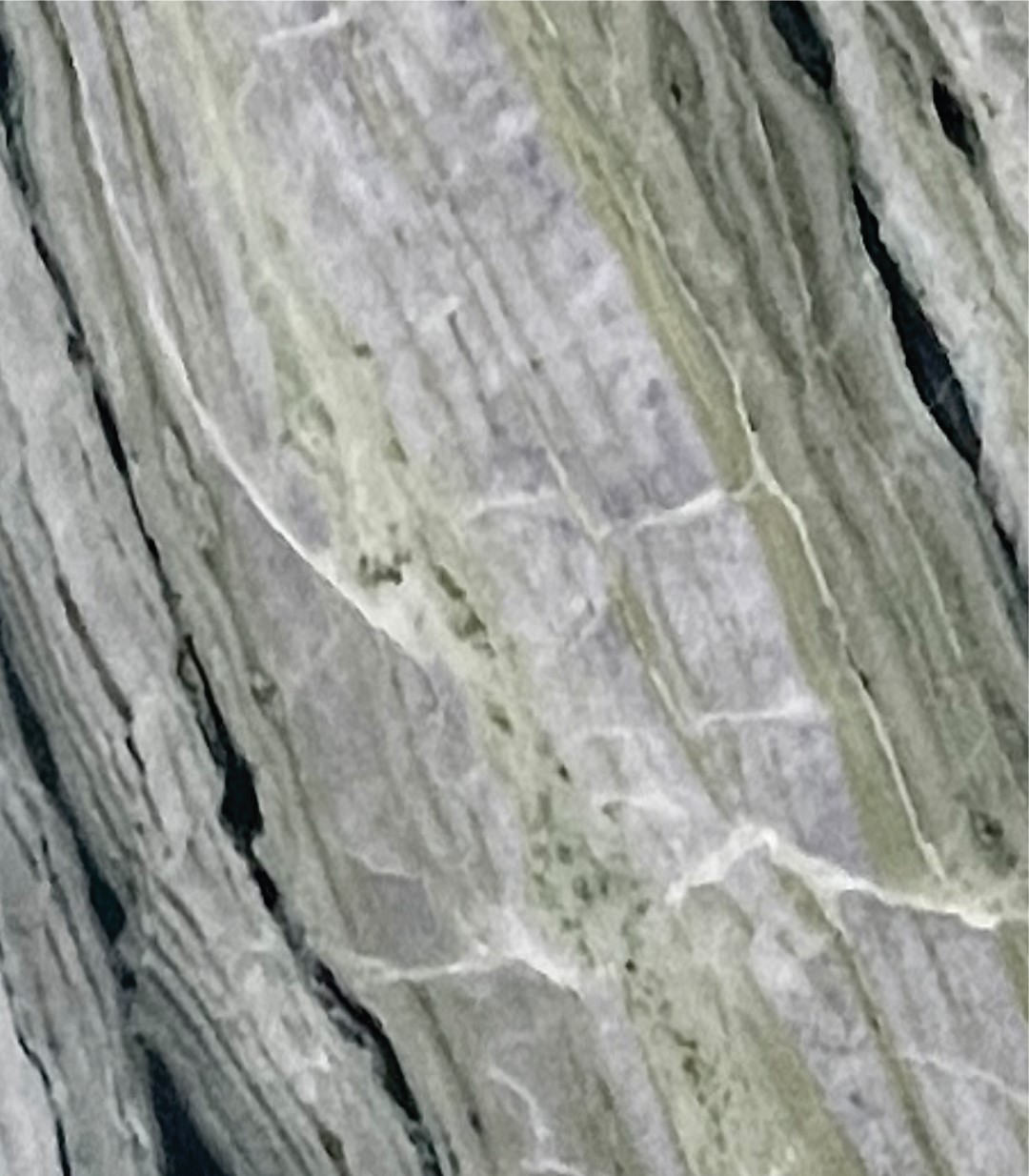 Verde Perlato Italian Marble